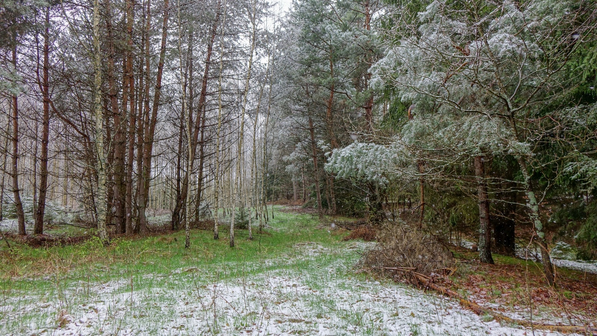 Zima w maju - zdjęcie 9