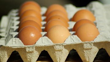 GIS ostrzega przed salmonellą w trzech partiach jaj  z Fermy Drobiu Woźniak