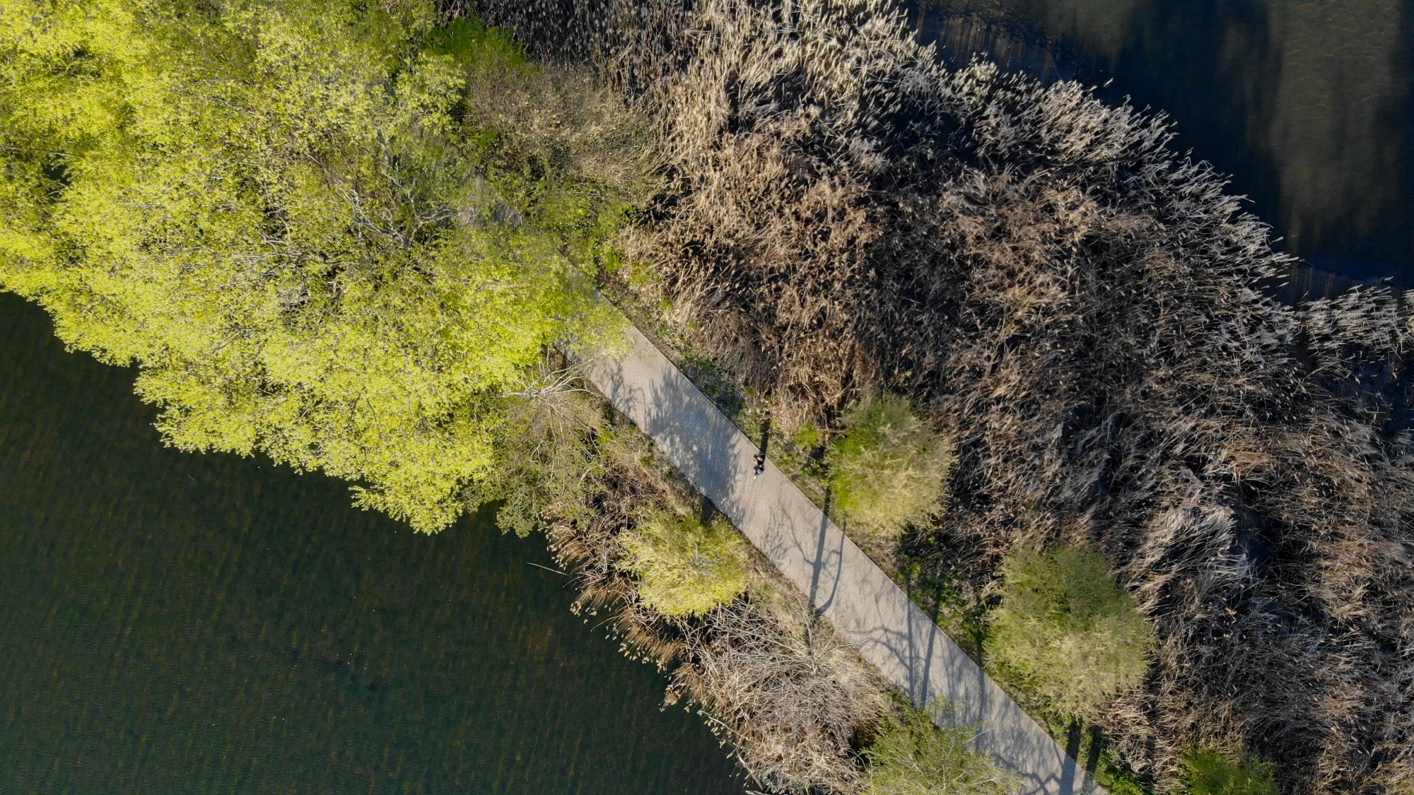 Niesamowita Polska z lotu ptaka - zdjęcie 28