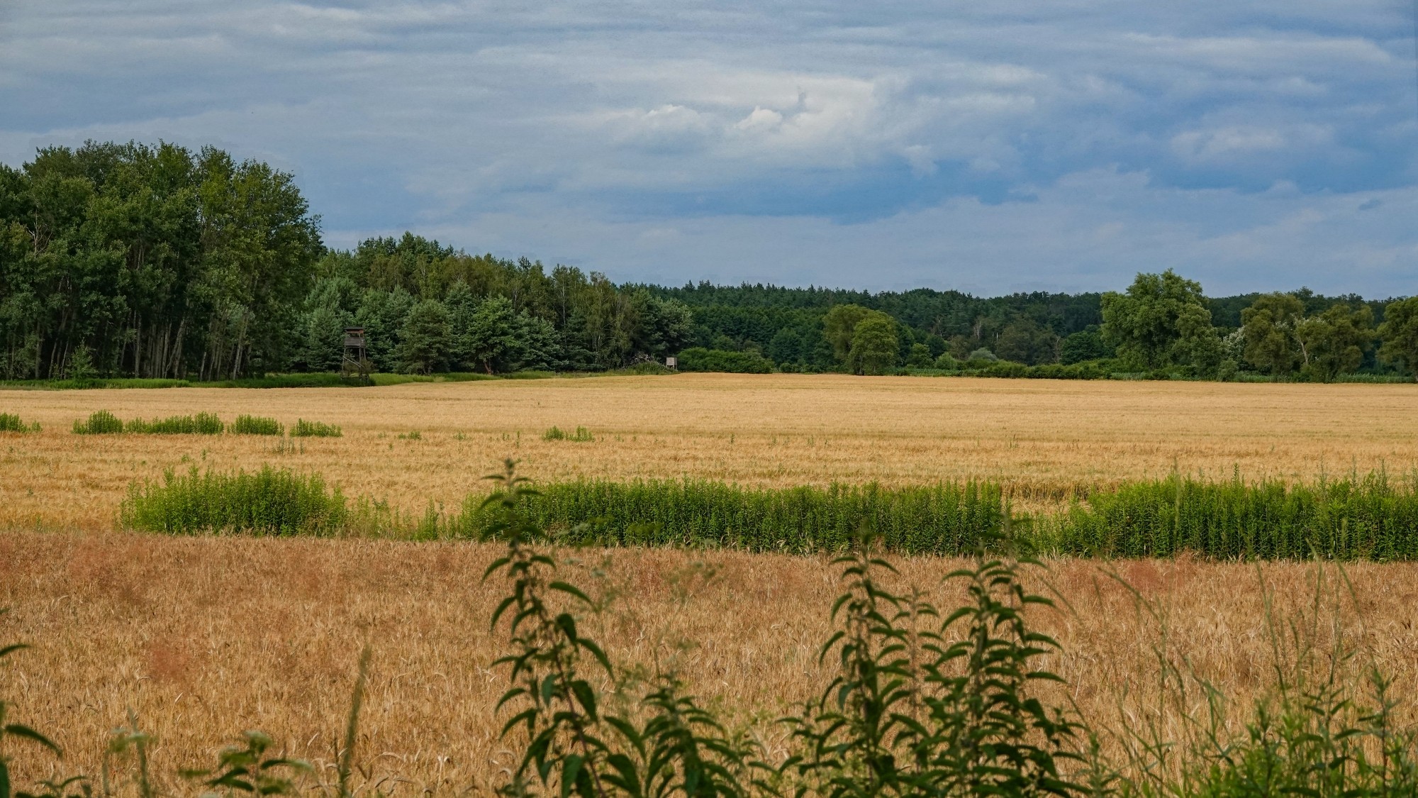 Podróż przez polską prowincję - zdjęcie 57