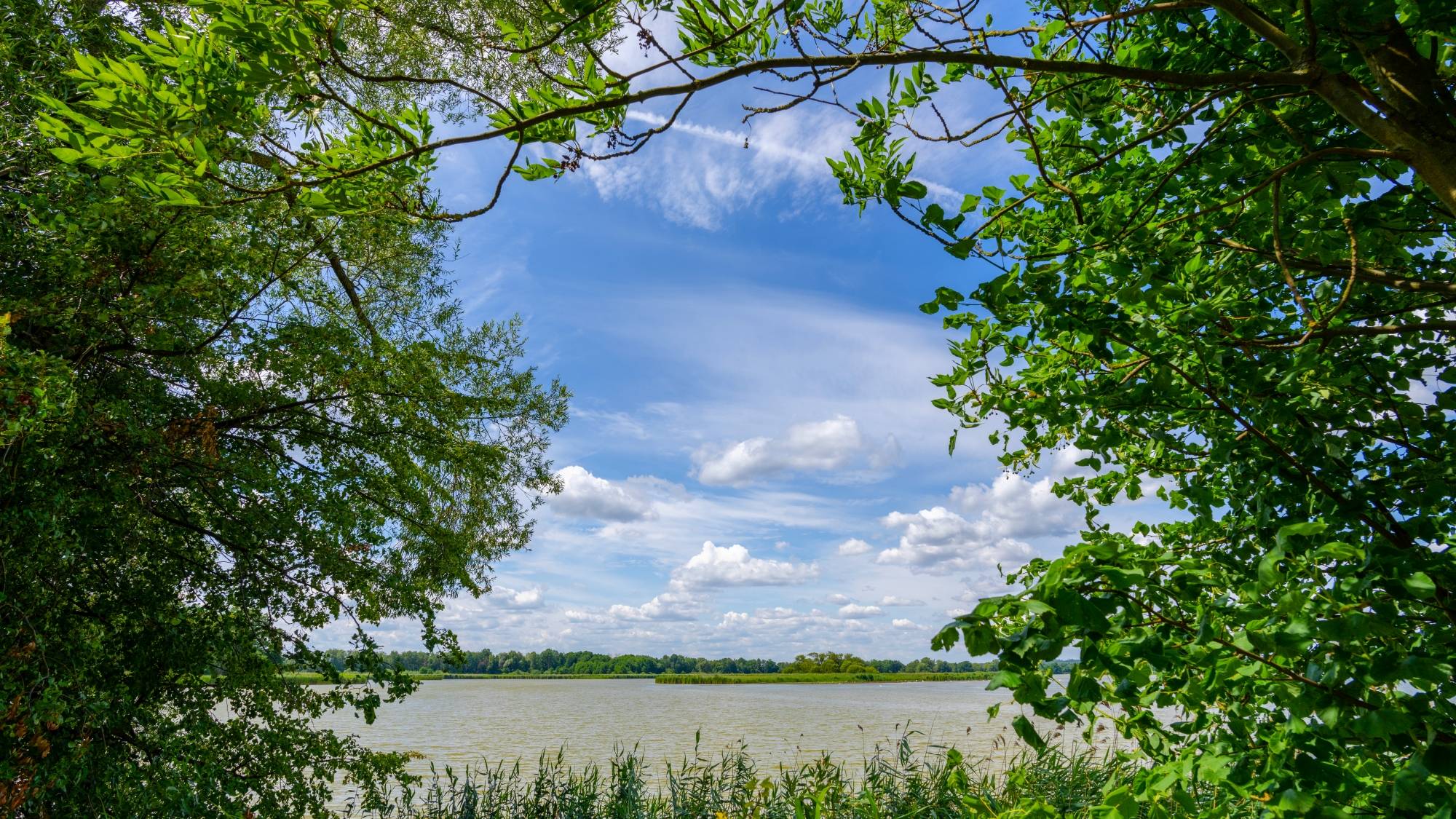 Kolory lata - zdjęcie 16