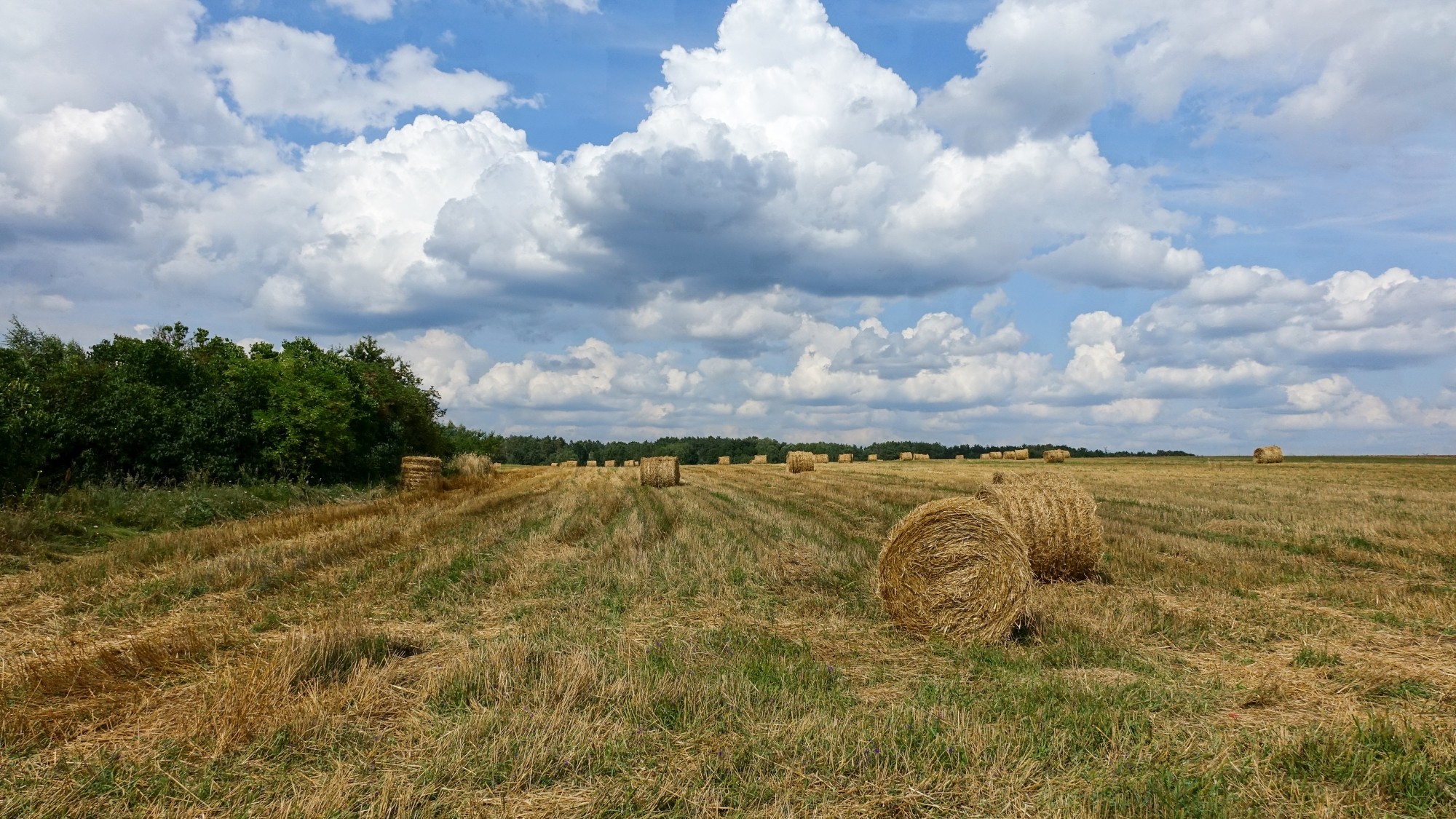 Koniec lata w pięknej Polsce - zdjęcie 20
