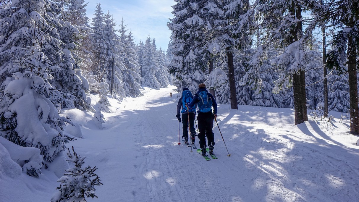 Marzec w obiektywie - zdjęcie 6