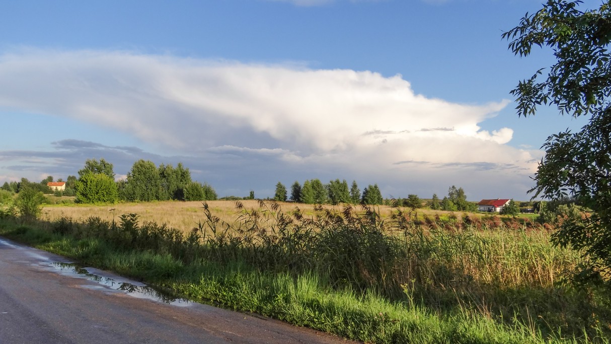 Zakochaj się w Polsce - zdjęcie 29