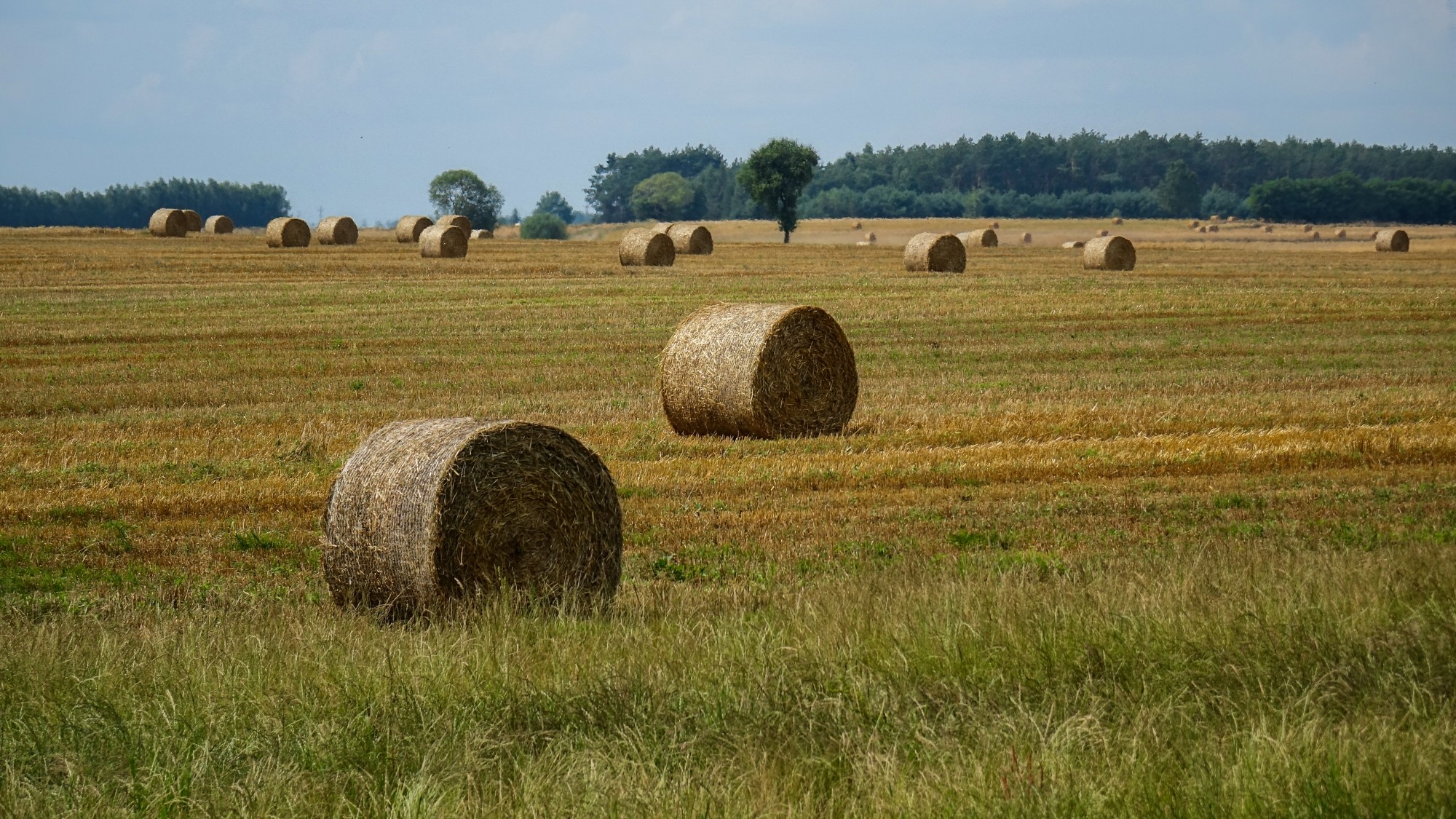 Koniec lata w pięknej Polsce - zdjęcie 32