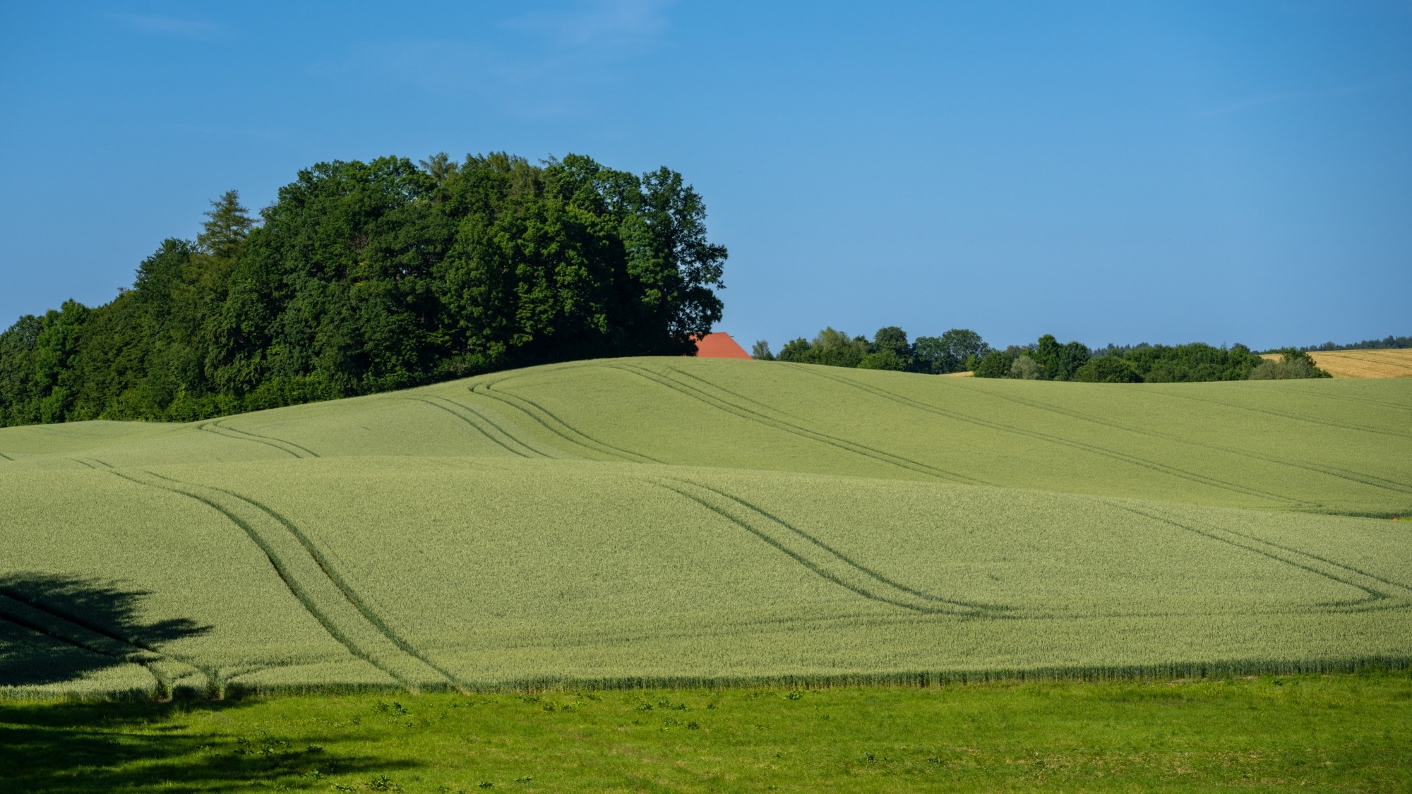 Kolory lata - zdjęcie 32
