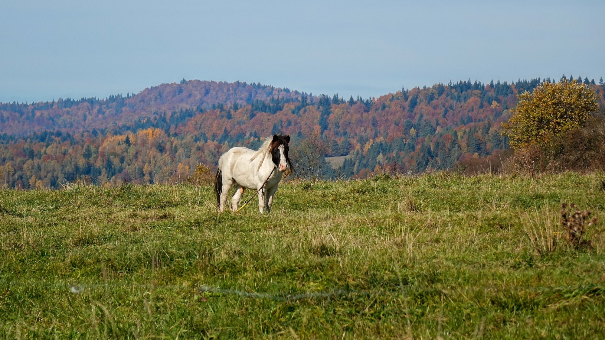Październik w obiektywie - zdjęcie 21