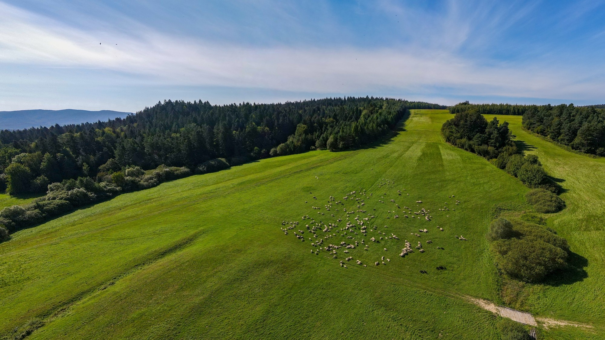 Cuda polskiej natury - zdjęcie 39