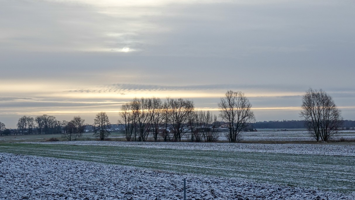 Styczeń w obiektywie - zdjęcie 48