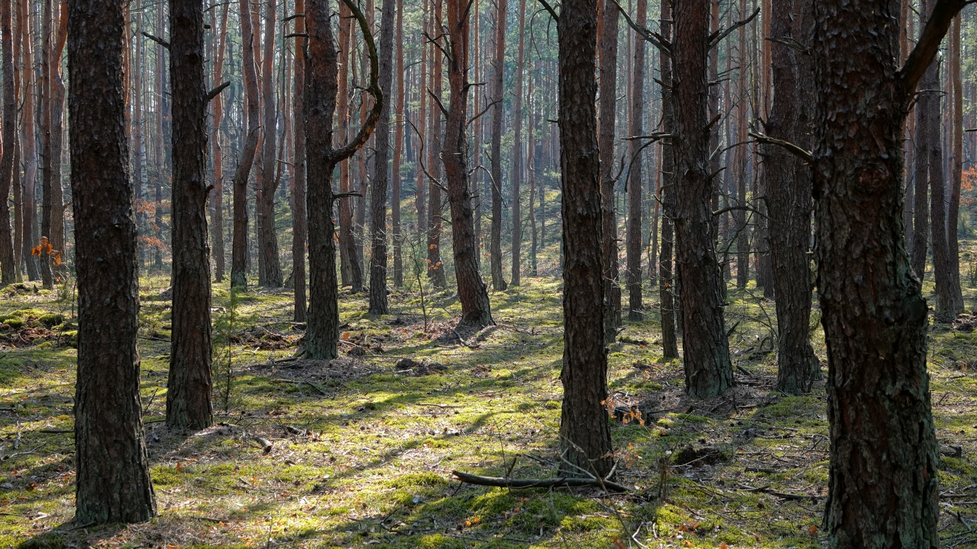 Marzec w obiektywie - zdjęcie 57