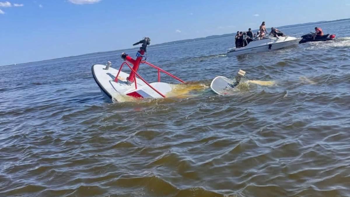 Wieloryb uderzył w łódź strażaków. Mieli kilka sekund na ucieczkę. "Katastrofalne szkody"