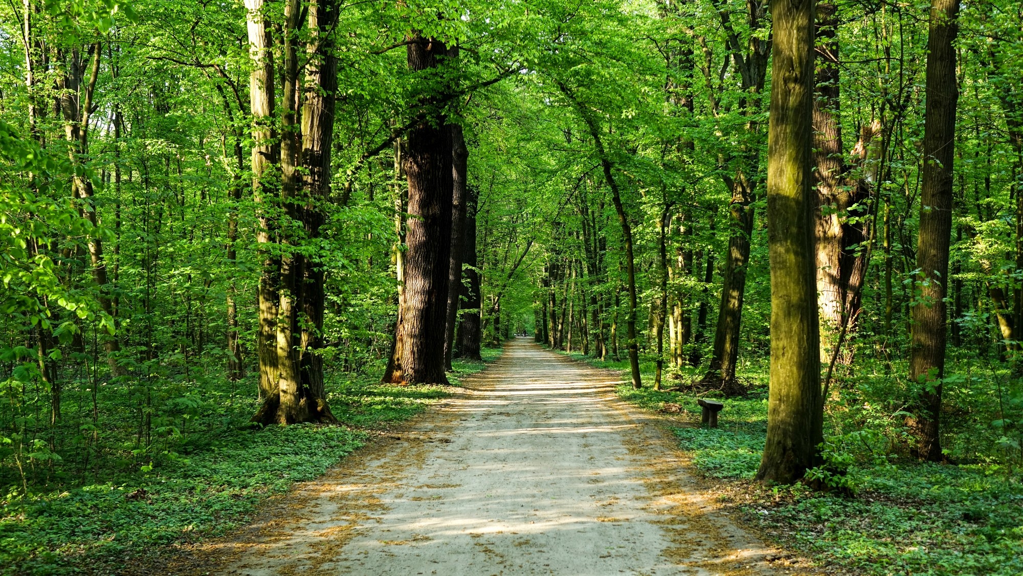 Kwiecień w obiektywie - zdjęcie 20