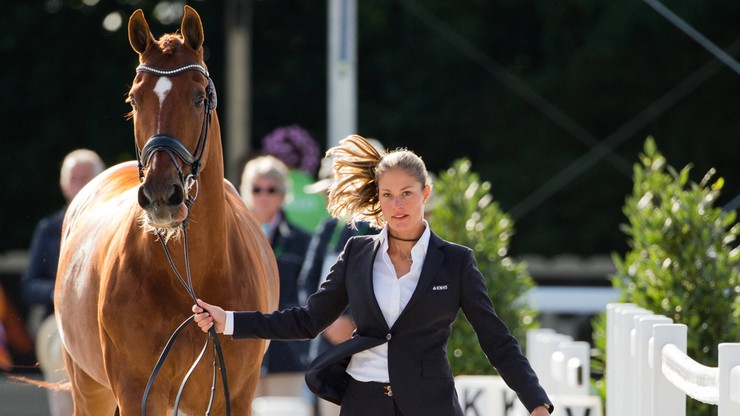 Rio 2016: Zdrowie konia ważniejsze niż medal. Piękny gest Holenderki!