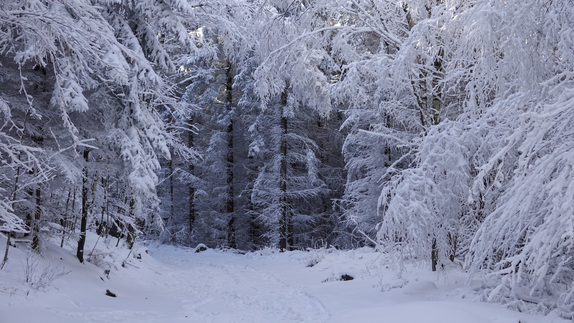 Kraina Narnii - zdjęcie 5