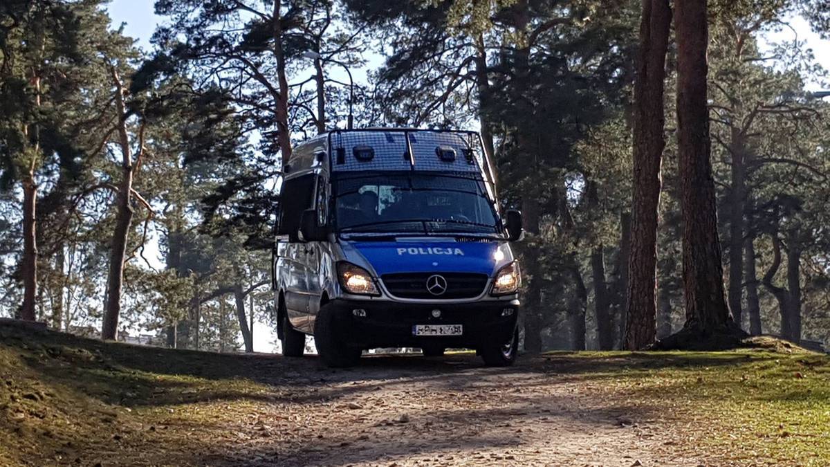 Samoch&oacute;d policyjny na leśnej drodze.