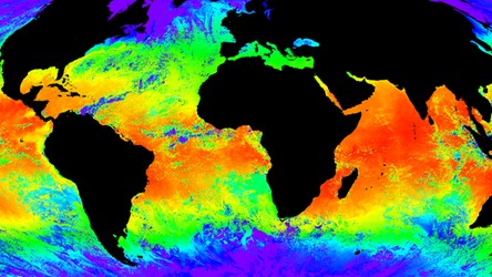 17.01.2020 08:00 Klimatolodzy: Temperatury oceaniczne na rekordowo wysokim poziomie