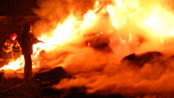 Ukraiński urzędnik: Polacy, członkowie organizacji Falanga, próbowali podpalić węgierski ośrodek
