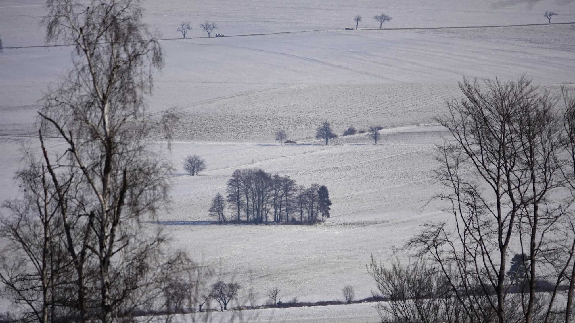 Kraina Narnii - zdjęcie 45