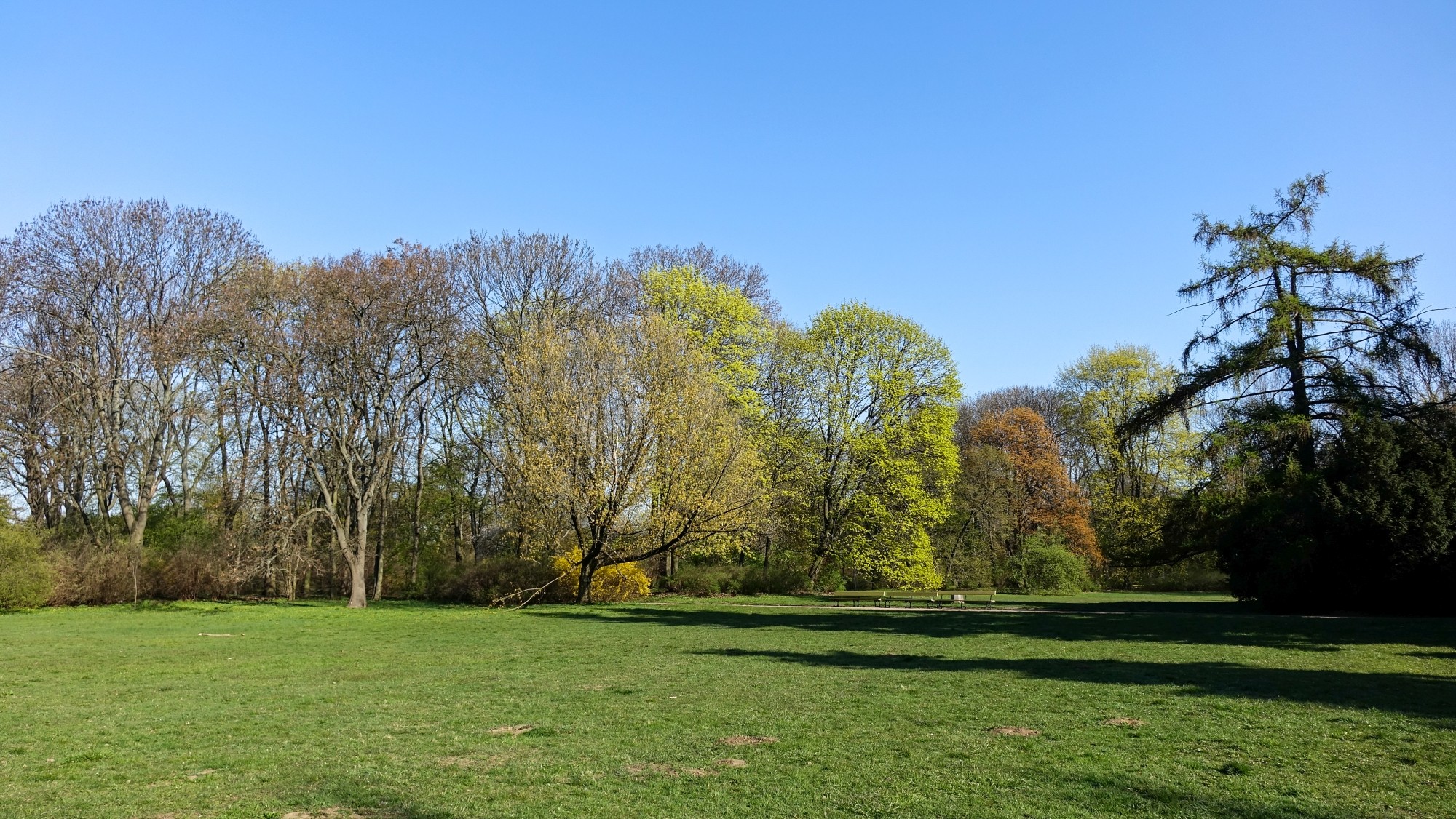 Kwiecień w obiektywie - zdjęcie 52