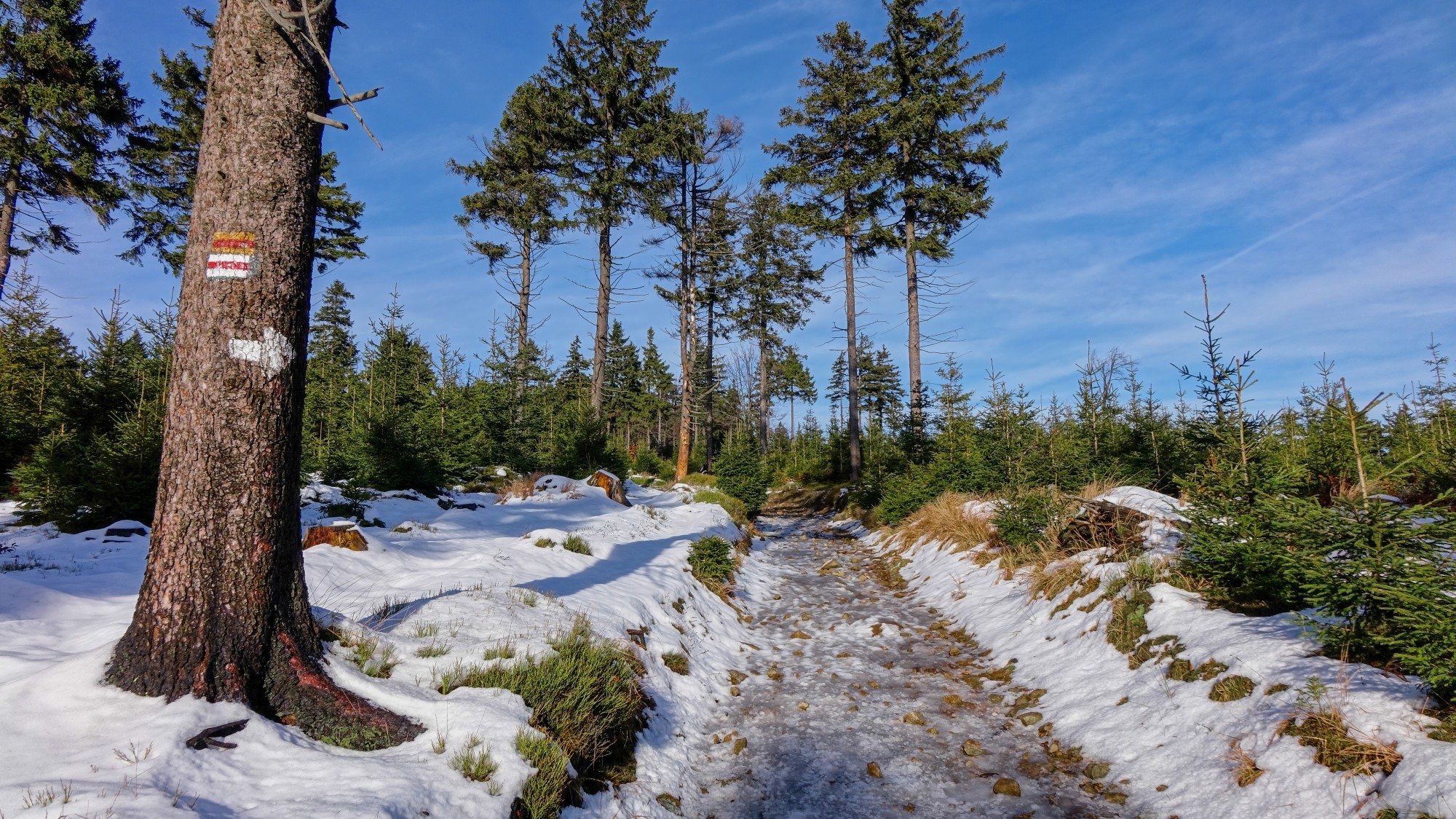 Góry Sowie, Suche i Kamienne - zdjęcie 7