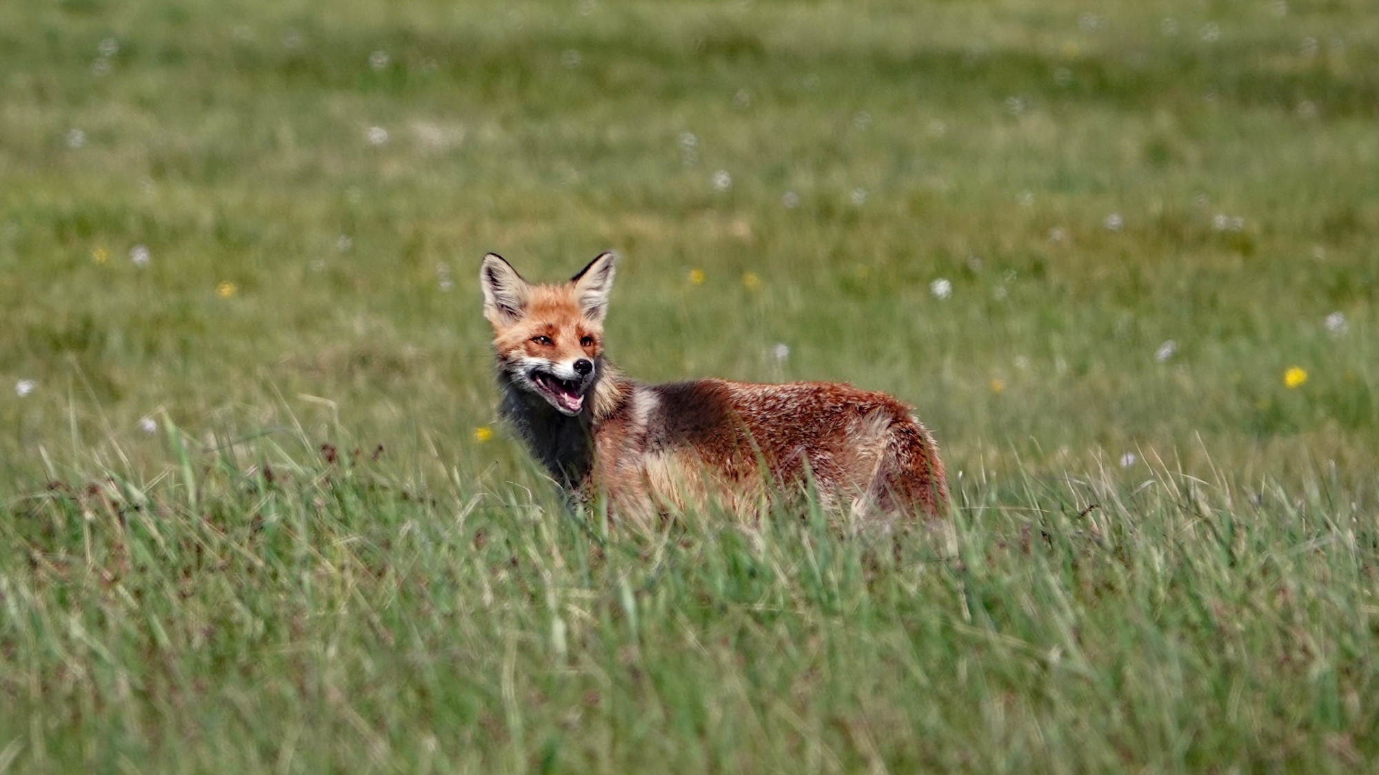 W maju jak w raju - zdjęcie 23