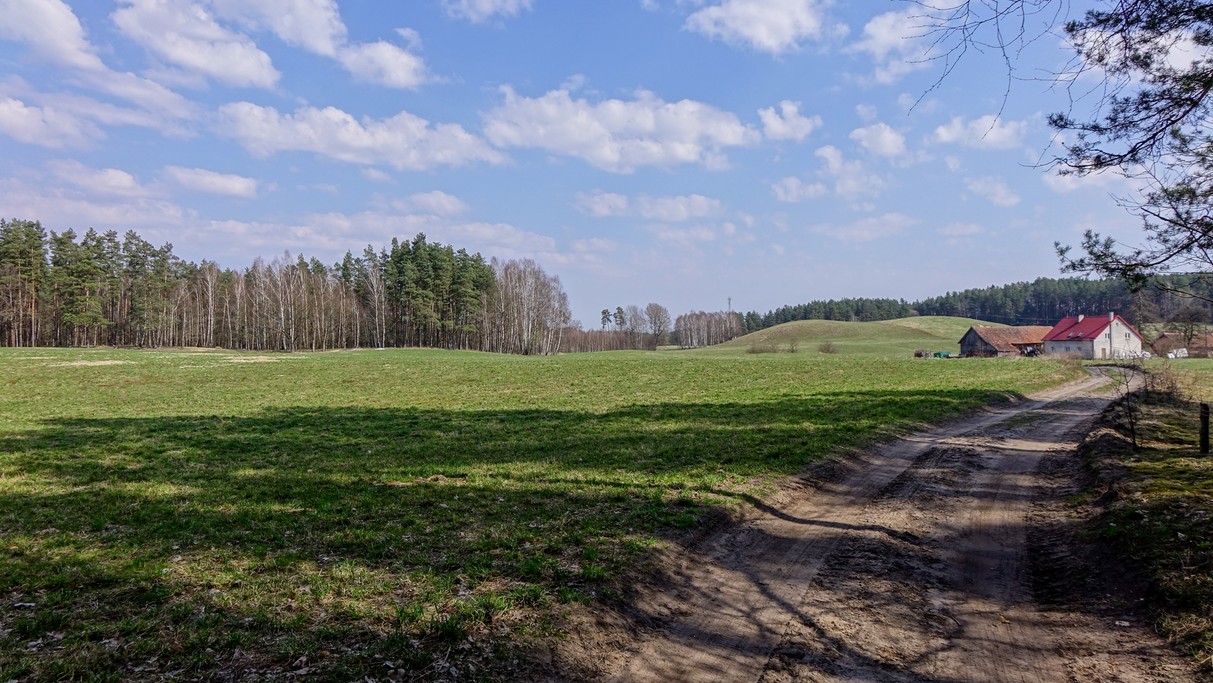 Powiewy wiosny - zdjęcie 18