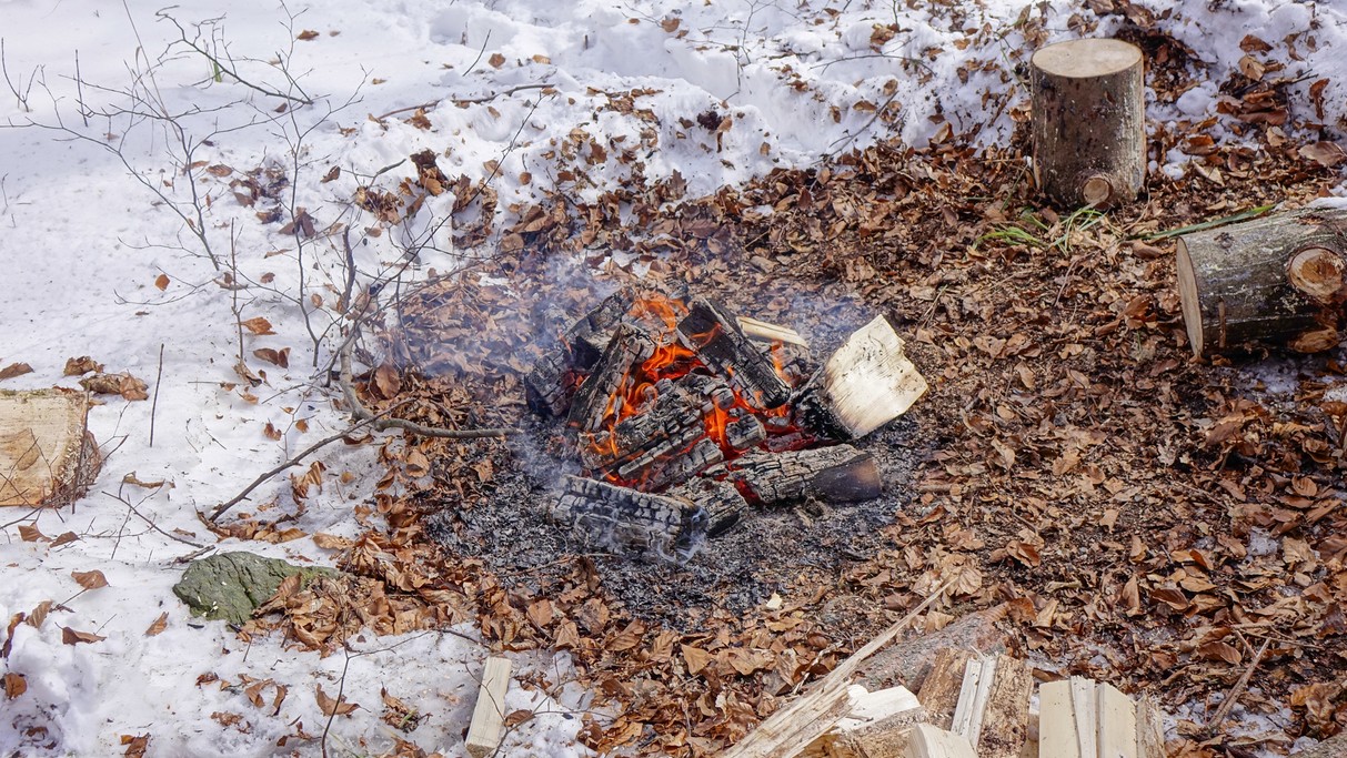 Marzec w obiektywie - zdjęcie 24