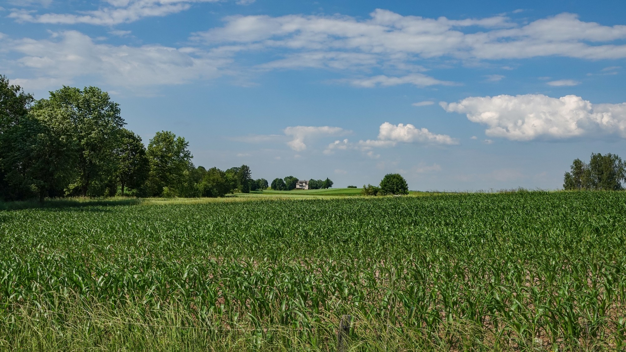 Wakacje minionych lat - zdjęcie 48