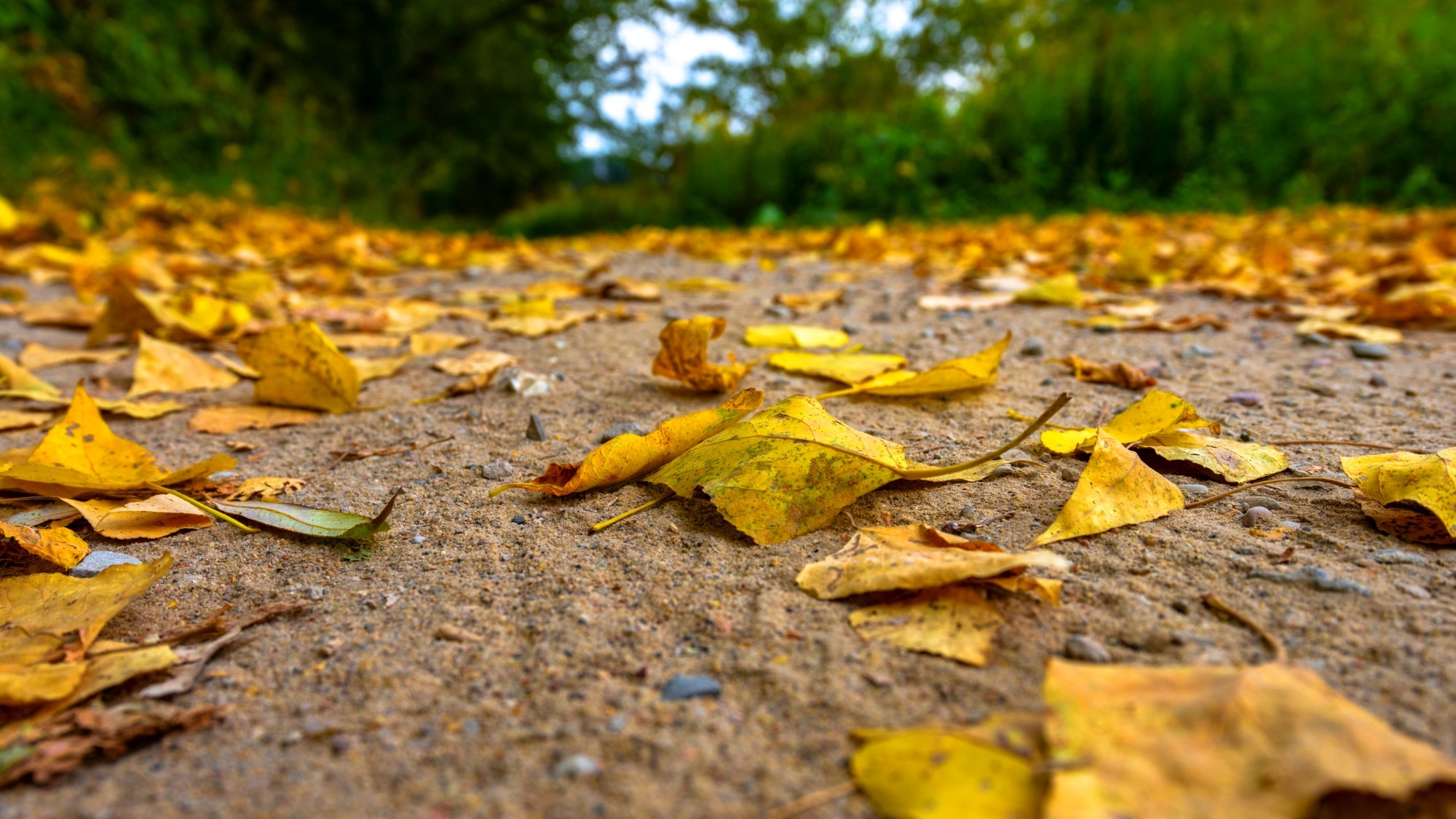 Wśród natury - zdjęcie 43