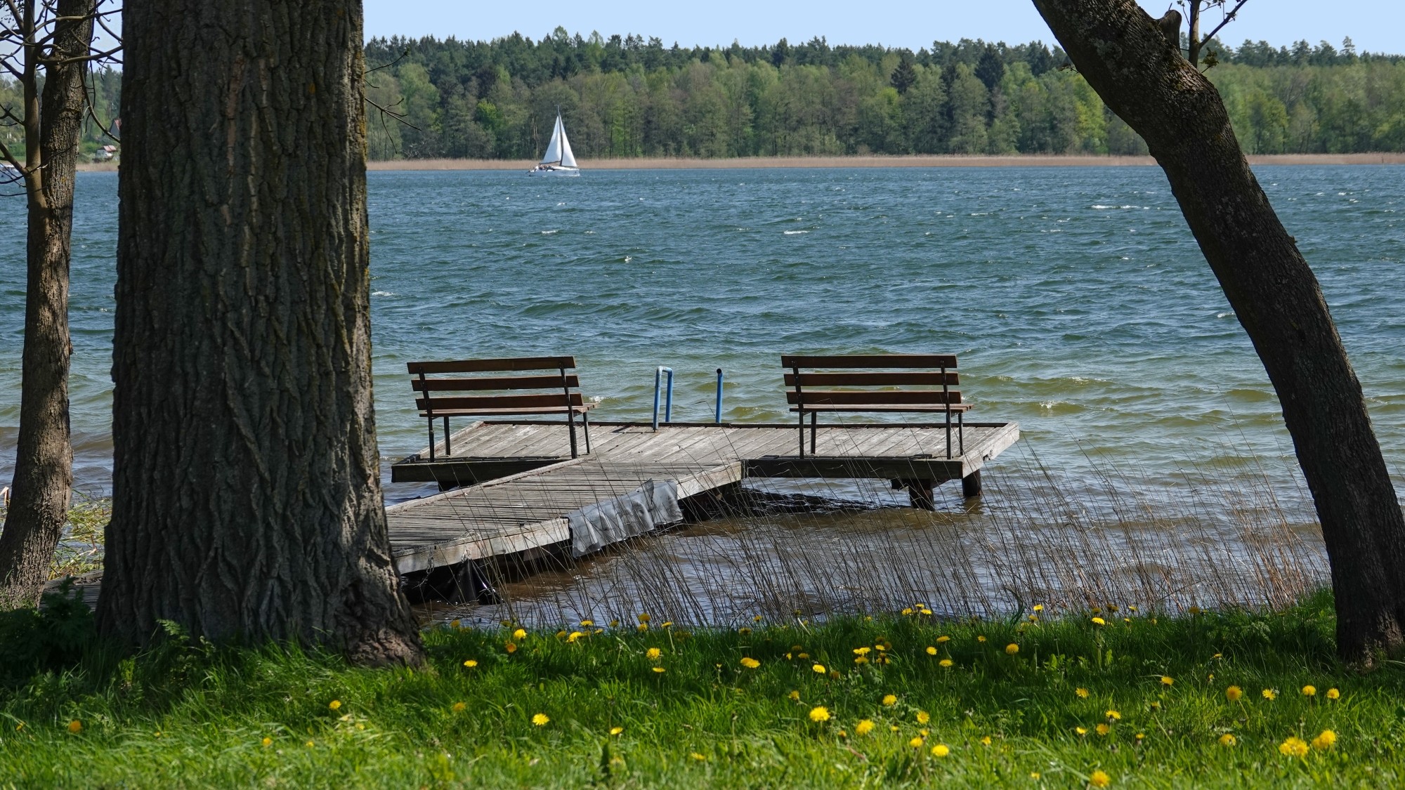 W maju jak w raju - zdjęcie 21