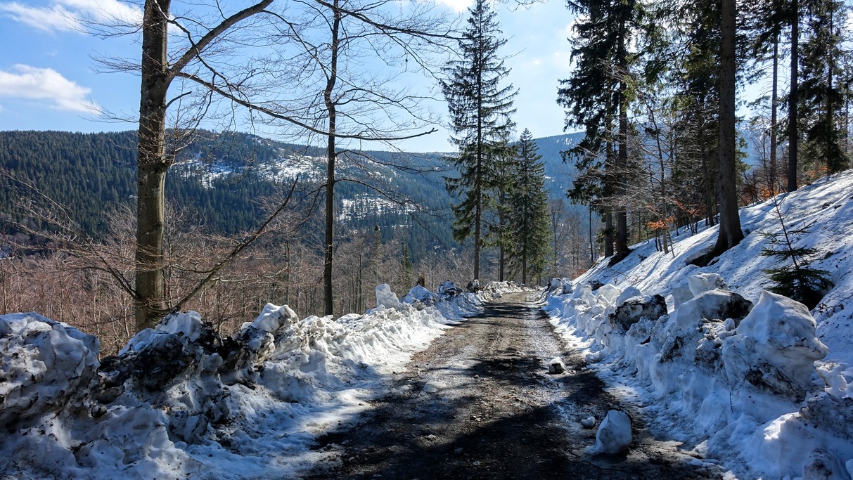 Marzec w obiektywie - zdjęcie 9