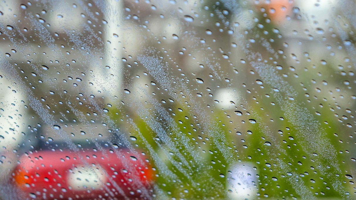 Kwiecień w obiektywie - zdjęcie 43