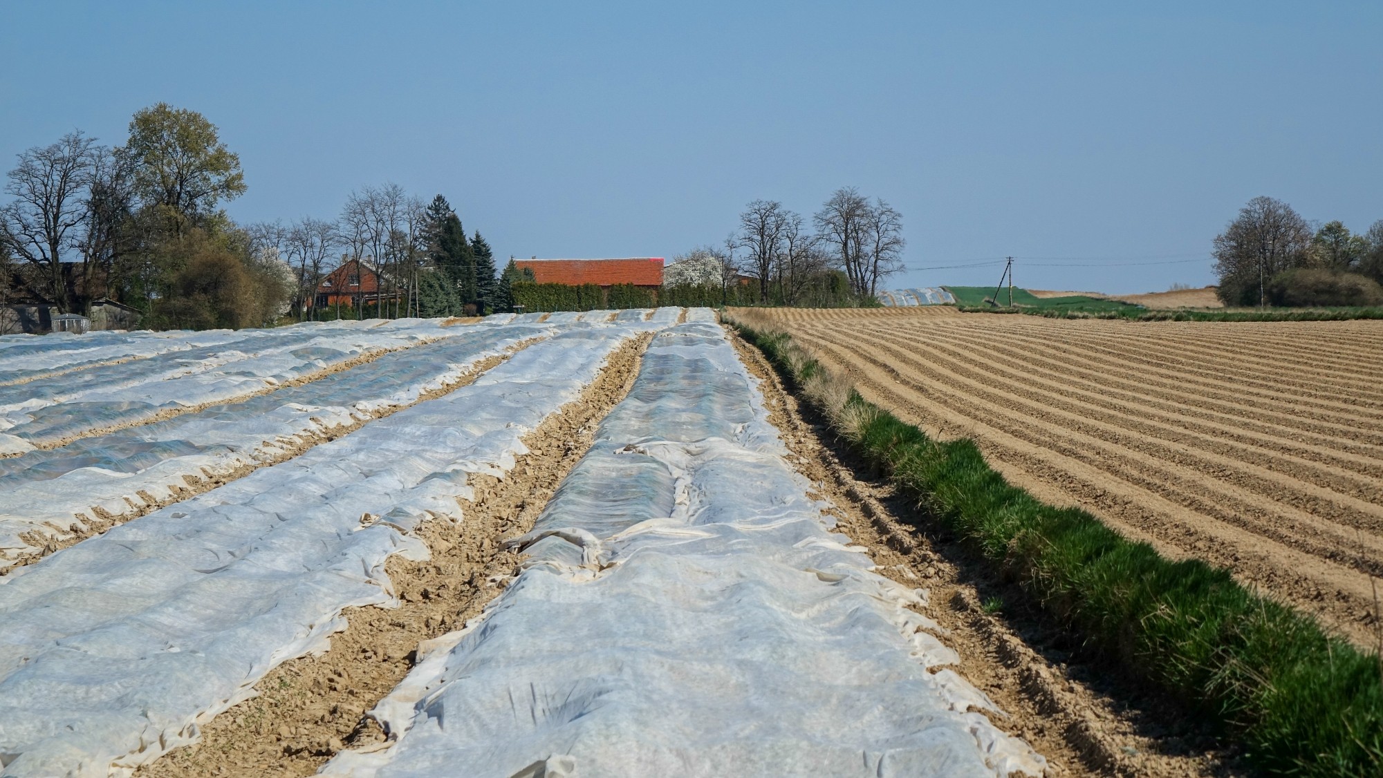 Podróż przez wiosenną Polskę - zdjęcie 30