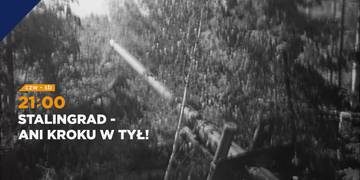 Stalingrad - ani kroku w tył
