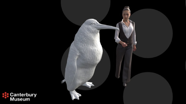 "Pingwin potwór". Odnaleziono skamieliny ptaka wielkości człowieka