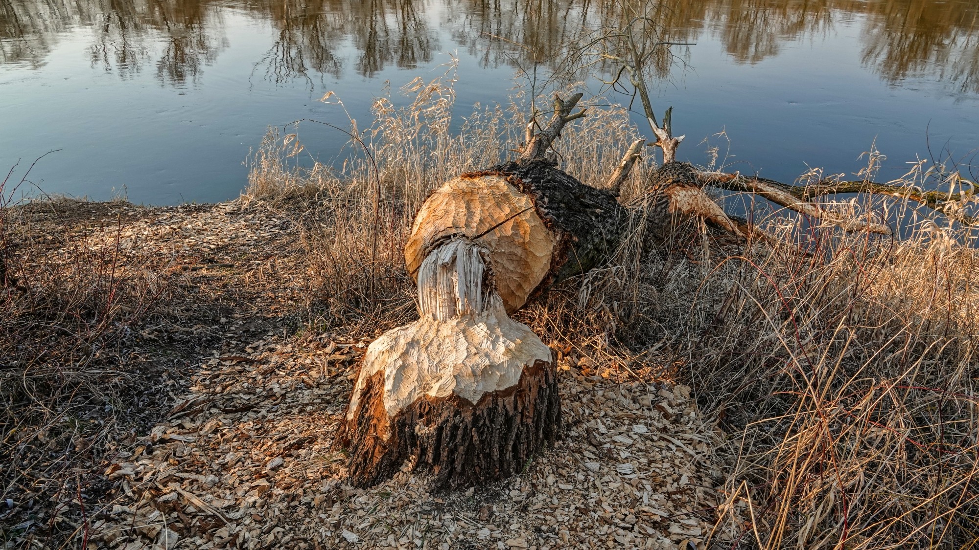 Marzec w obiektywie - zdjęcie 22