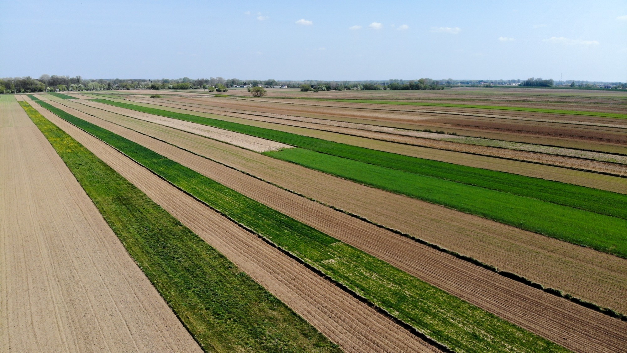 Wiosna w Polsce okiem drona - zdjęcie 30