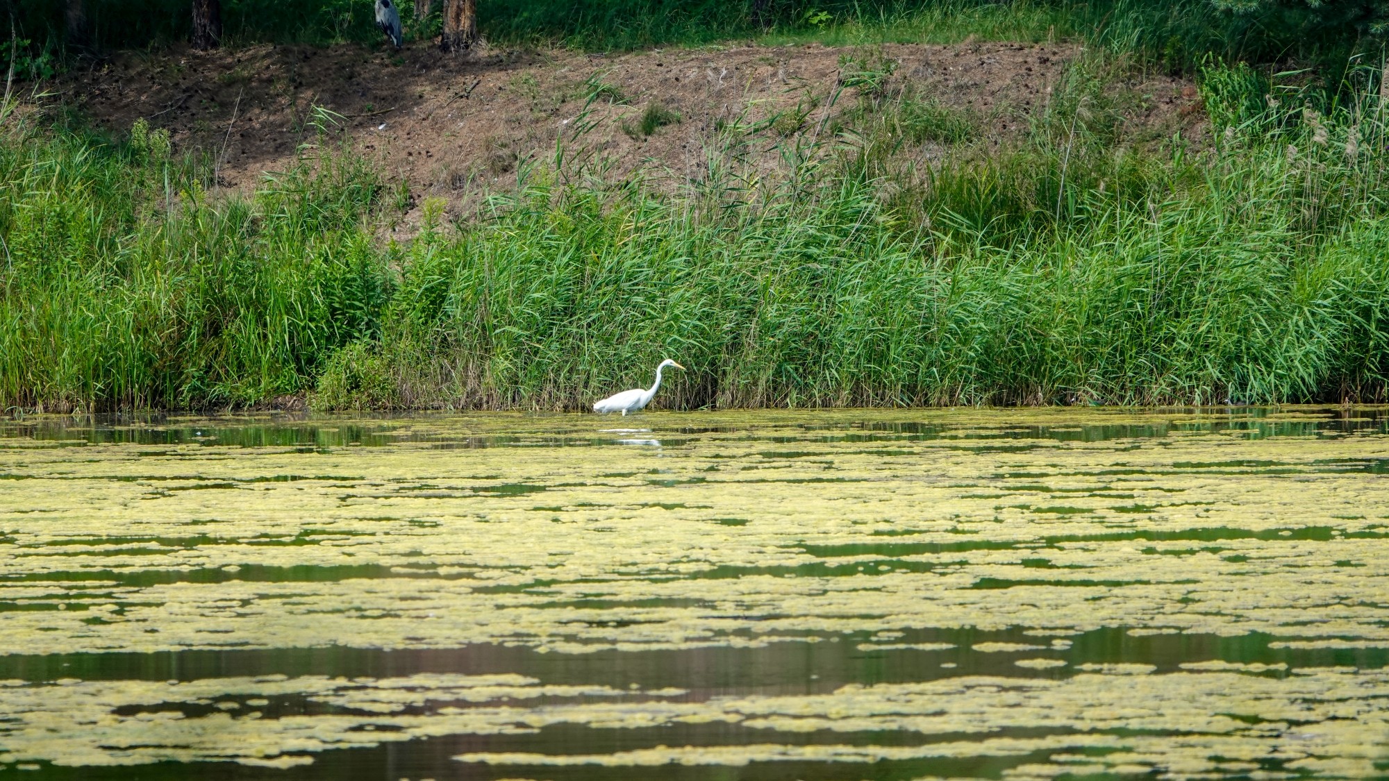 Podróż przez polską prowincję - zdjęcie 54
