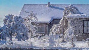 29.01.2021 00:00 Kraina śniegu i lodu (4K)