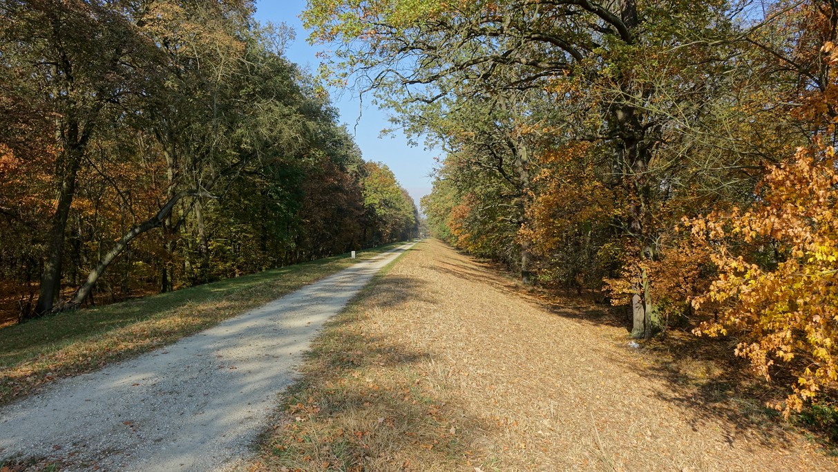 Jesienne klimaty - zdjęcie 19