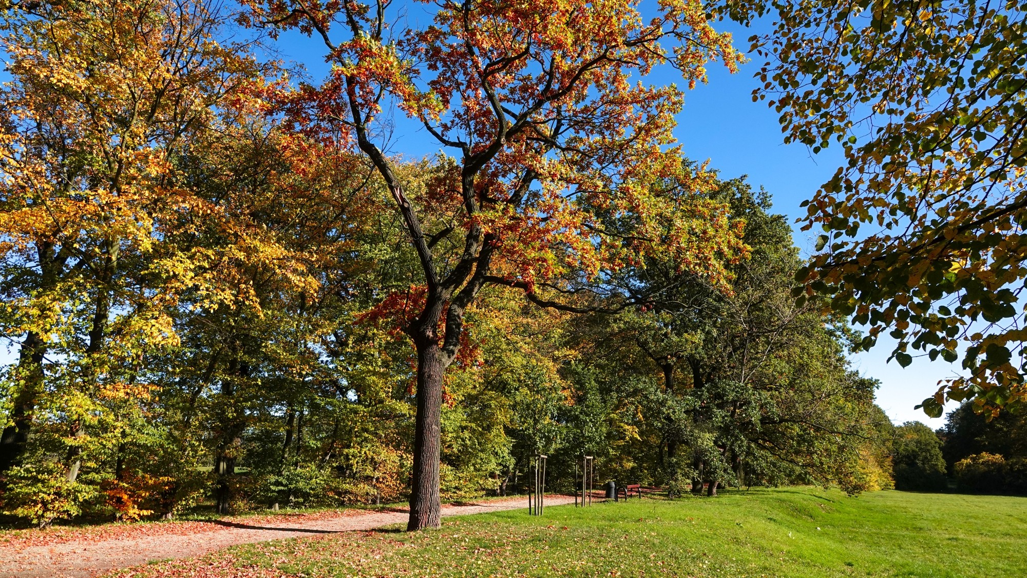 Wszystkie barwy jesieni - zdjęcie 18