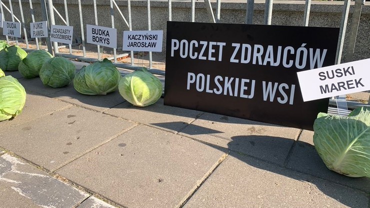356 kapuścianych głów przed Sejmem. "Symbolizują puste łby posłów"
