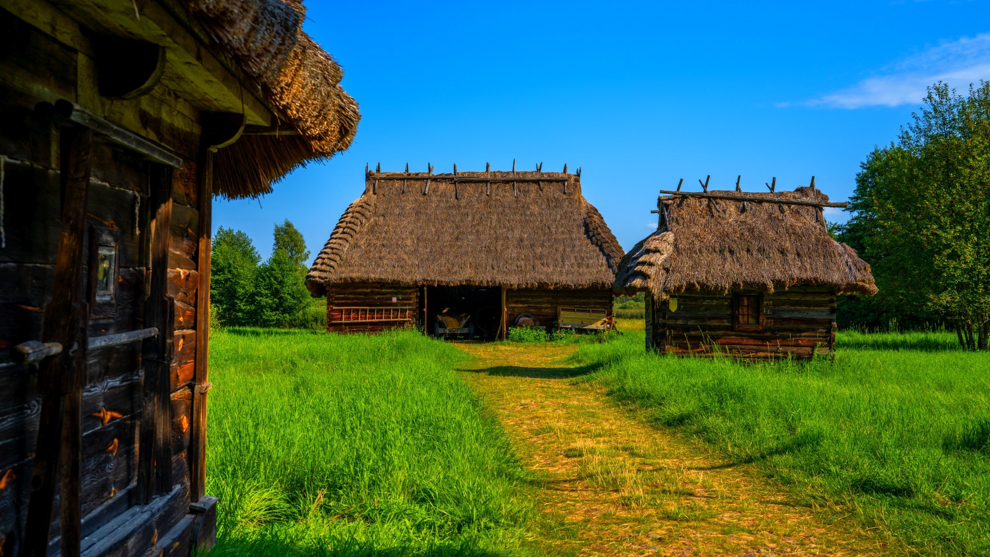 Wśród natury - zdjęcie 41