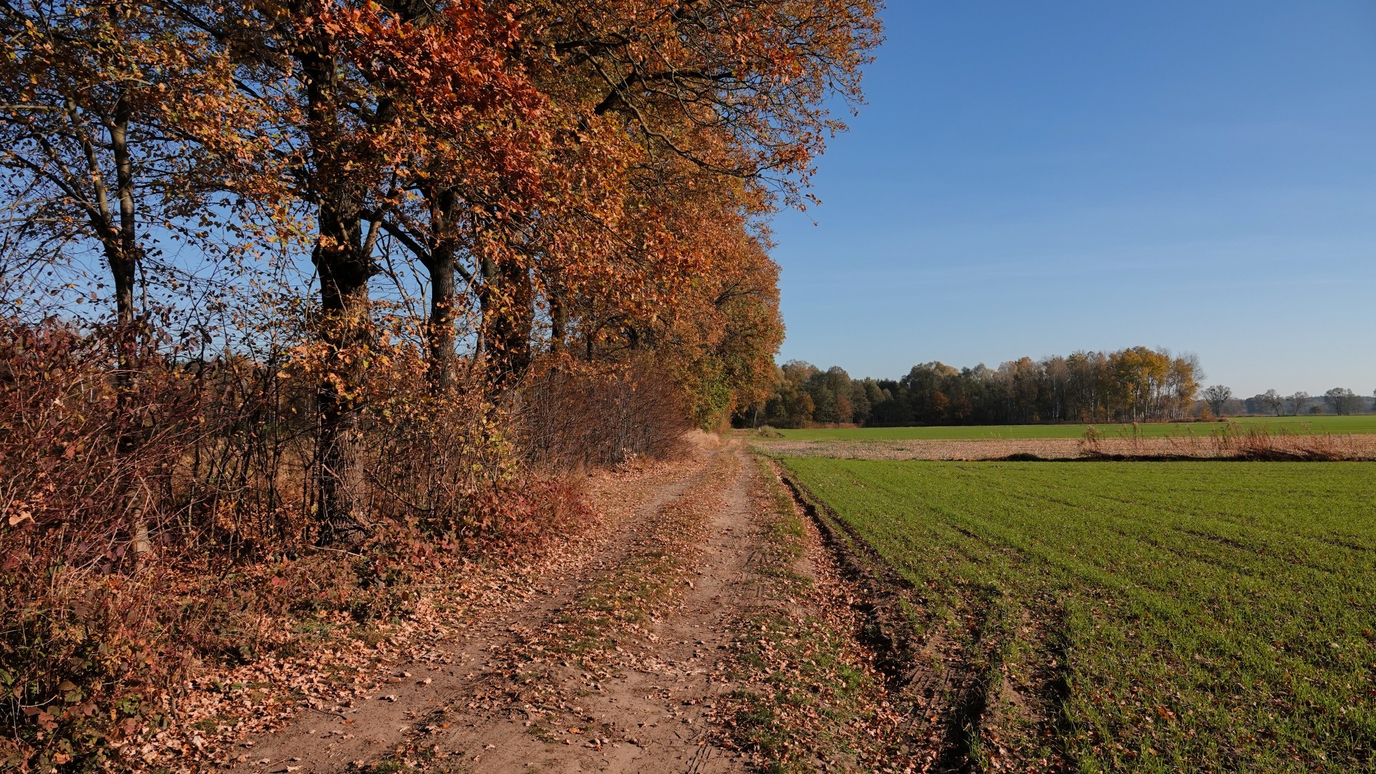 Jesienne klimaty - zdjęcie 40