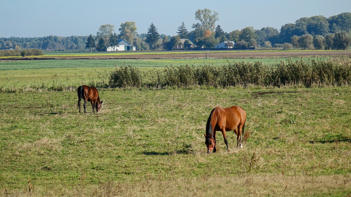Październik w obiektywie - zdjęcie 6