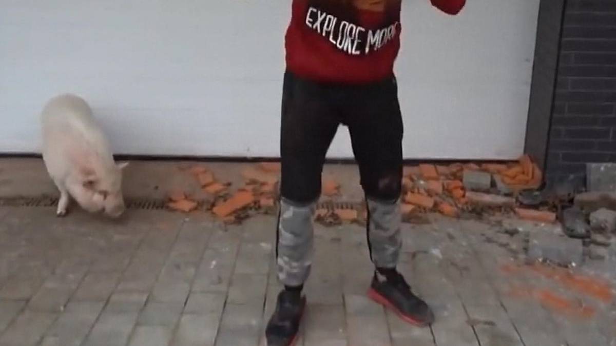 Ustawa o patostreamingu w Dzienniku Ustaw. Wiadomo, od kiedy zacznie obowiązywać