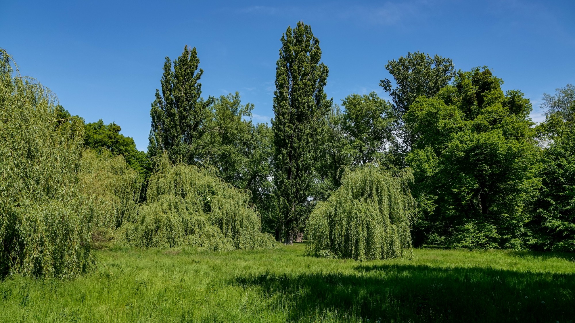 Uroki zielonej pory roku - zdjęcie 38