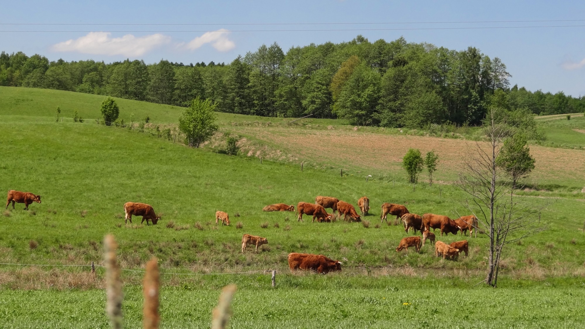 Mazury wiosną - zdjęcie 16