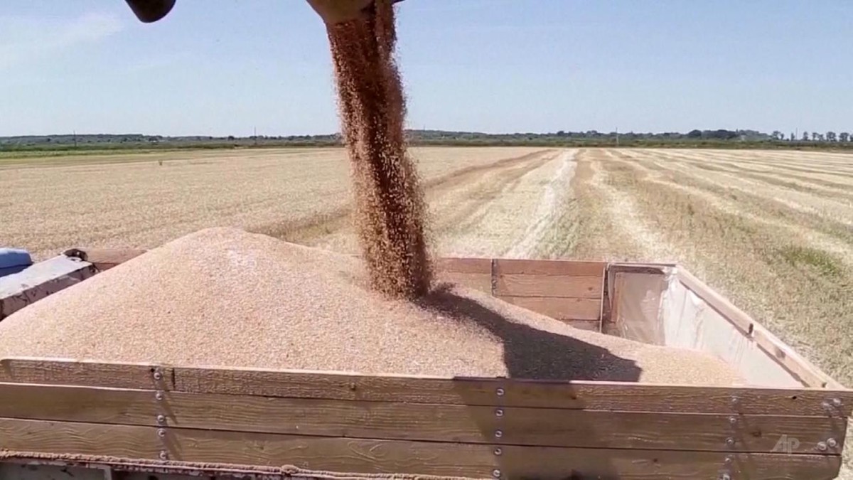 Rząd Rumunii porozumiał się z Ukrainą w sprawie importu zbóż