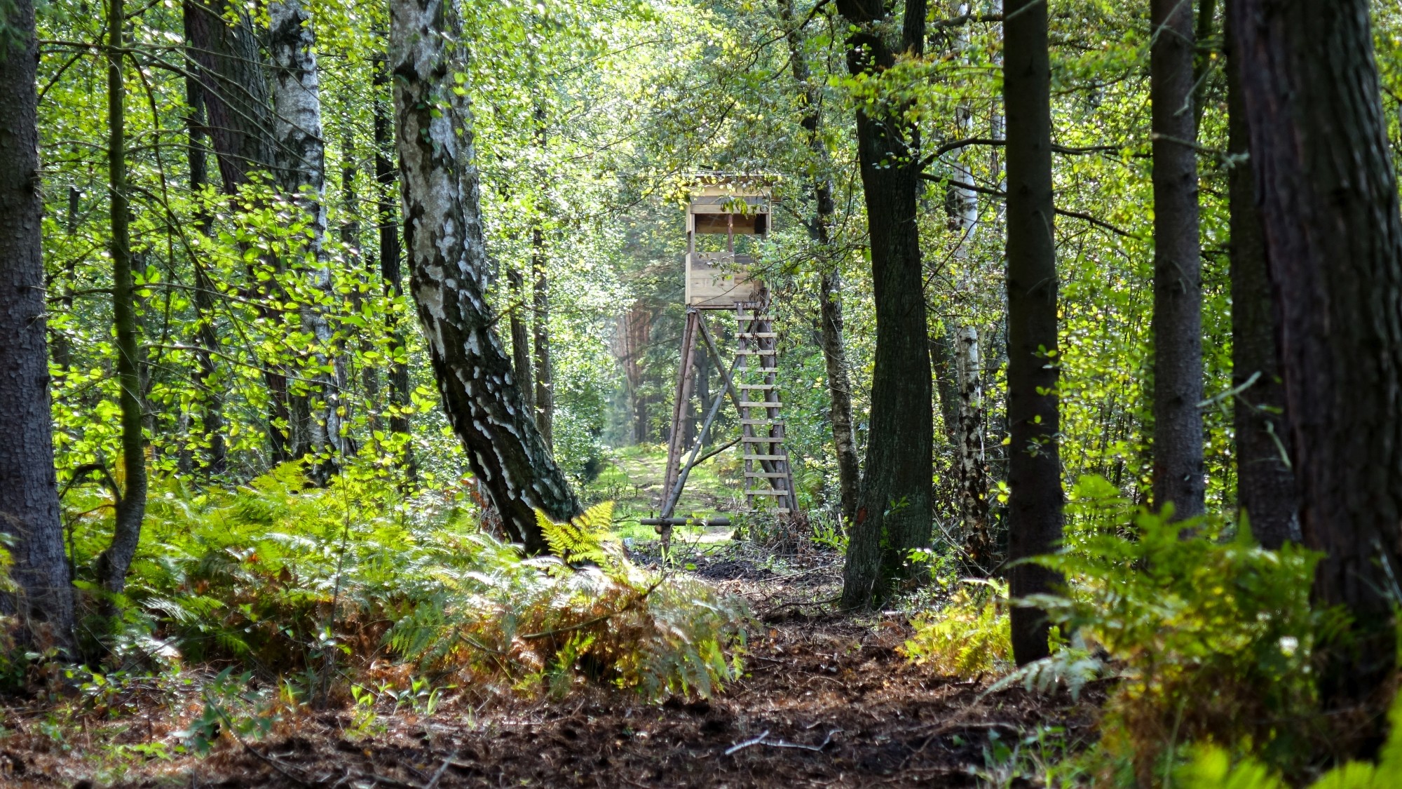 Późne lato na łonie natury - zdjęcie 35